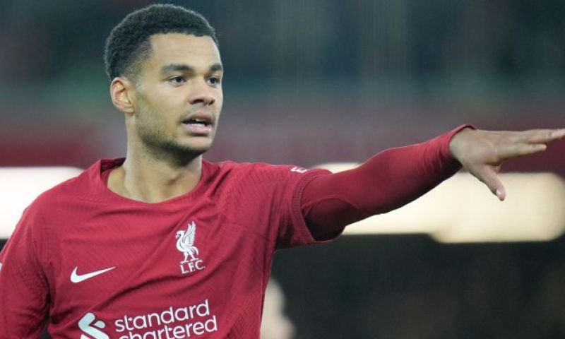 Liverpool kansloos ten onder tegen Brighton bij Premier League-debuut Gakpo