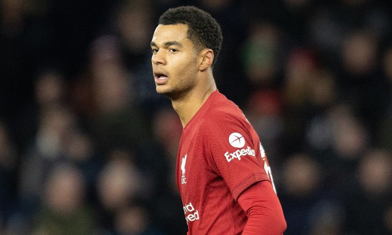 Leeds-voorzitter: 'Waren al rond met Gakpo, deal ging van de baan door Van Gaal'