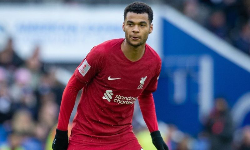 Van Dijk ziet mentor voor 'fantastische' Gakpo: 'Laten zien hoe moeilijk het is'