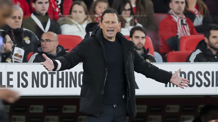 Zo kijkt Roger Schmidt naar het gedrag van de Benfica-fans