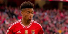 Thumbnail for article: Elfrink: Neres niet in beeld bij PSV, Italianen tonen serieuze interesse