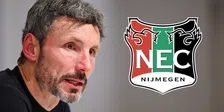 Thumbnail for article: NEC voert gesprek met Van Bommel, VI noemt twee andere interessante namen