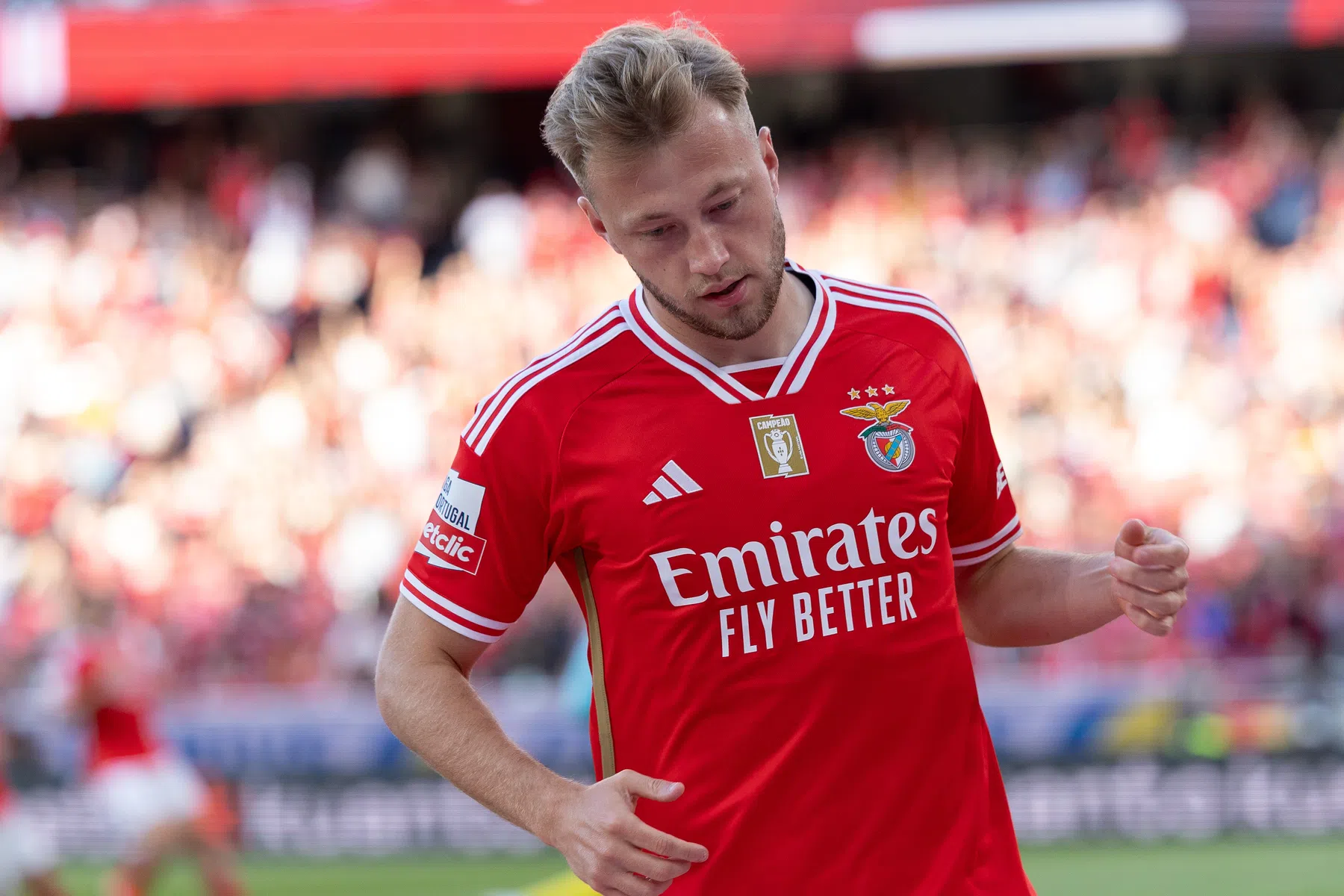 Tengstedt op weg naar Feyenoord: akkoord met Benfica bijna rond | VN