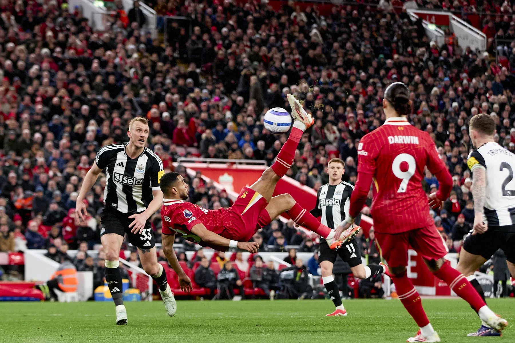 Liverpool al 17 duels ongeslagen tegen Newcastle United | VoetbalNieuws