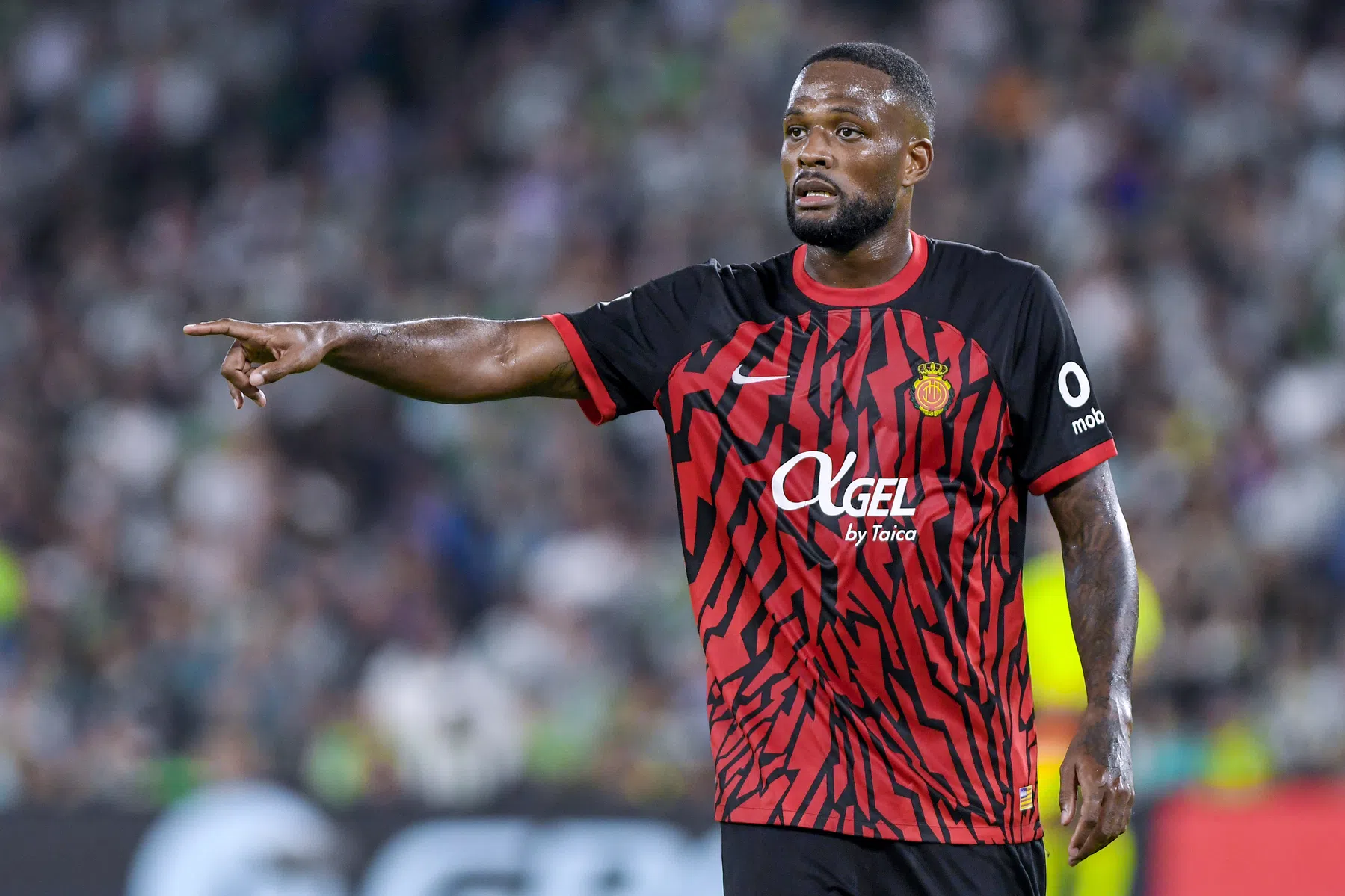 Larin kiest voor Feyenoord na belletje Van Persie, Valencia grijpt mis | VN