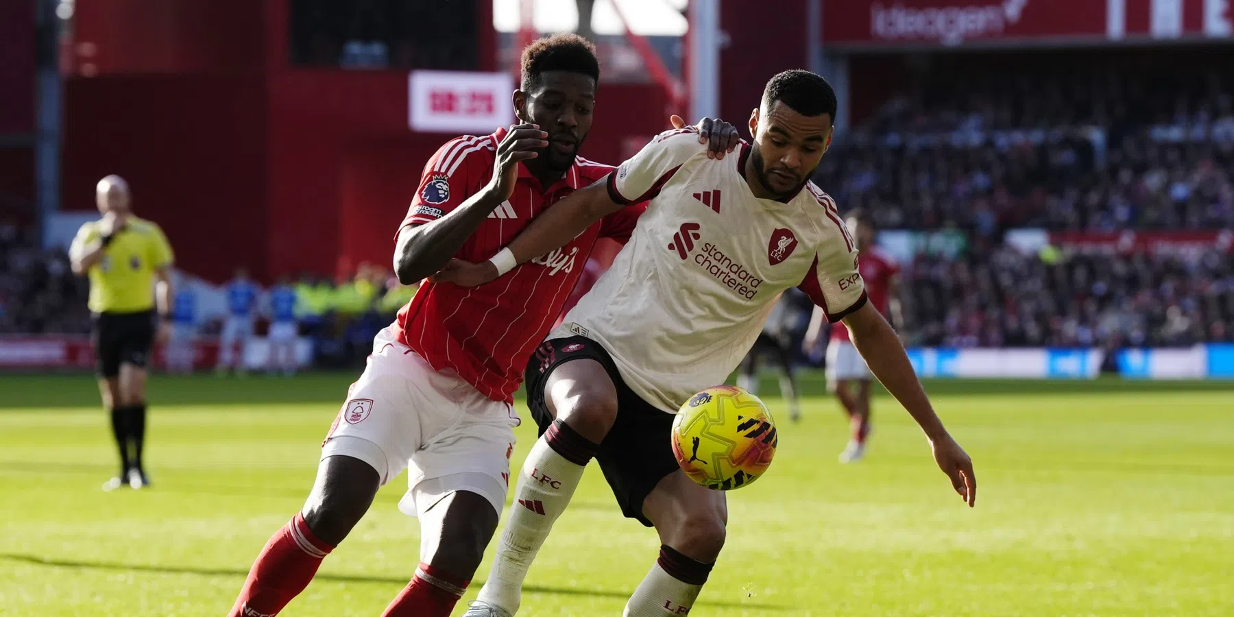 Kritiek op Van Dijk, Gakpo en Gravenberch | VN