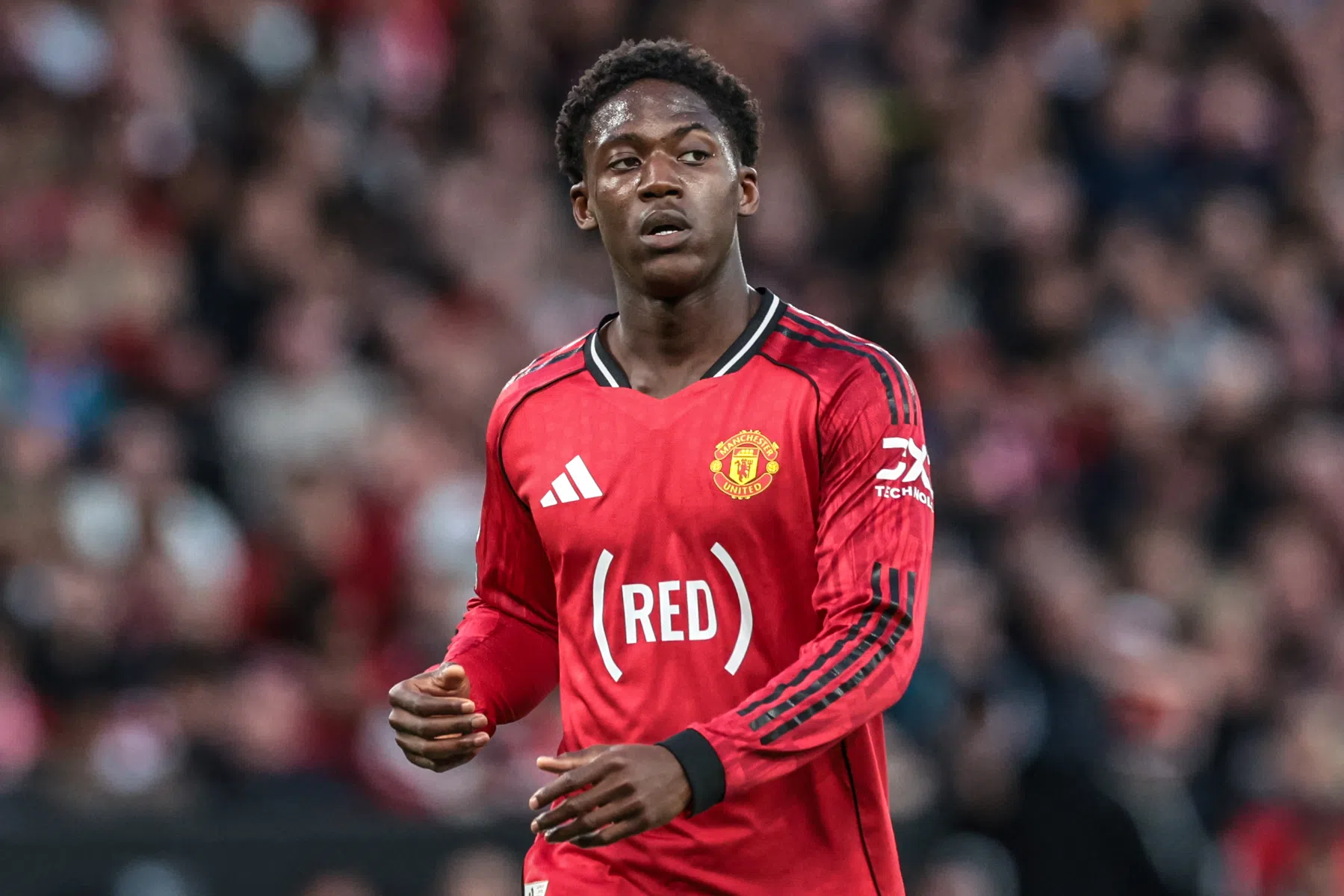 Mainoo verlengt contract bij Man United tot 2031 | VoetbalNieuws