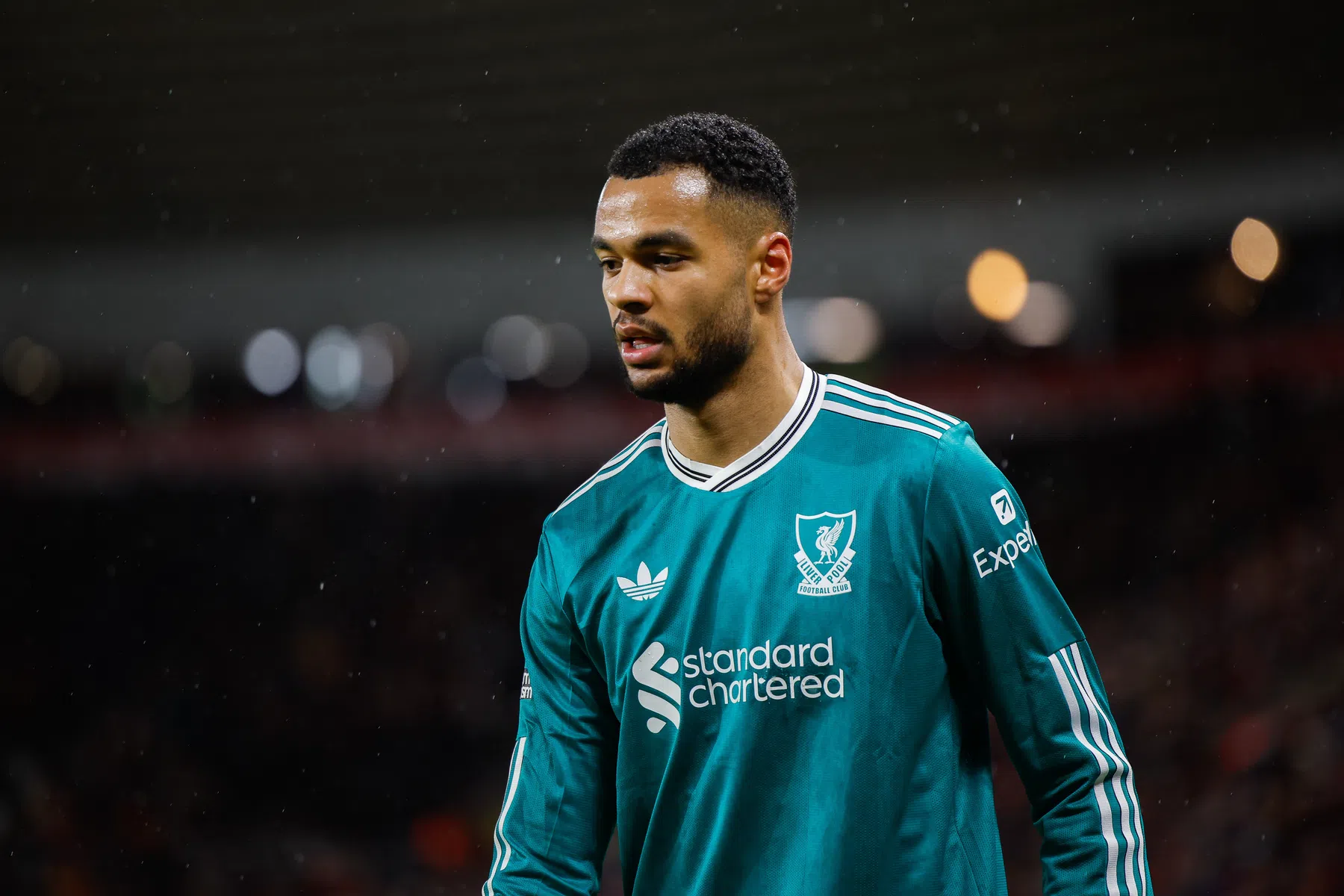 Tottenham voert druk op voor Liverpool-aanvaller Gakpo | VN