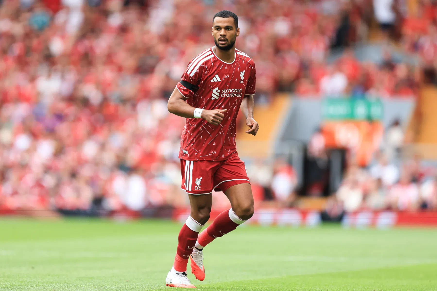 Gakpo akkoord met Tottenham: transfer Liverpool-aanvaller dichtbij | VoetbalNieuws