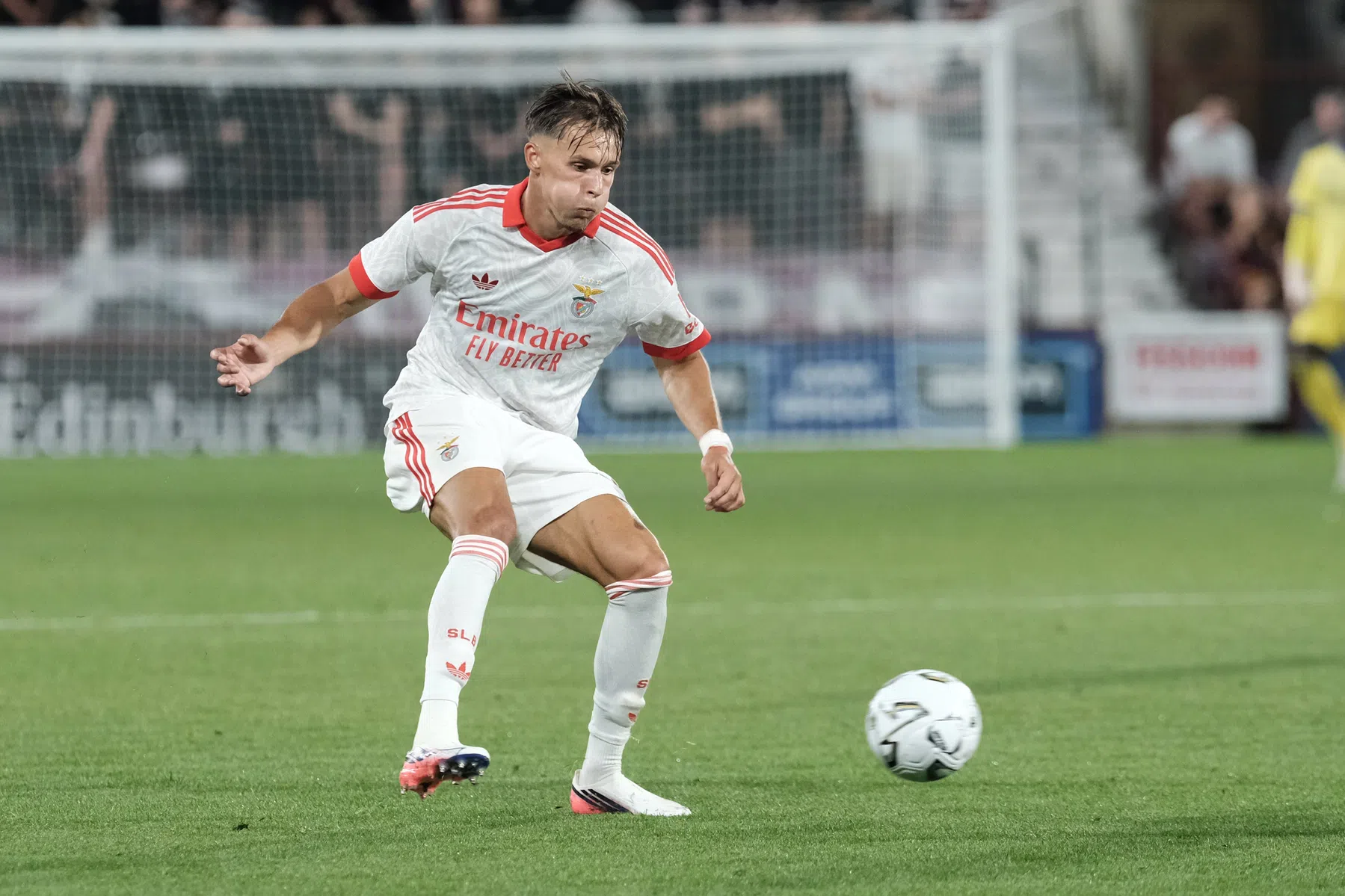 Newcastle haalt Bosnische international Dedic binnen